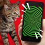 icon Tease Cat simulator!
