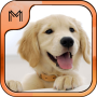 icon Dog Breeds Quiz HD