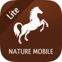 icon iKnow Horses 2 LITE