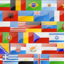 icon Flags