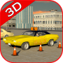 icon Car Driving School: Tests