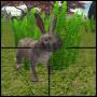 icon Rabbit Hunter 2016 3D