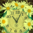 icon flower clock live wallpaper 10.02