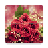 icon Flowers Puzzle 1.10