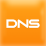 icon DNS