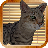icon Kitty Cat Sim 1.0