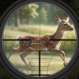 icon Jungle Hunting