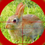 icon Sniper Rabbit Hunting 3D