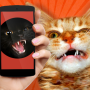 icon Cat Teaser: Sounds