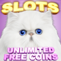 icon Casino Cash Cats