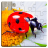 icon Insect Puzzles 35.1