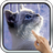 icon Interactive Kitten 11.0