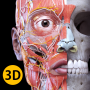 icon Anatomy 3D Atlas cho LG Stylo 3 Plus