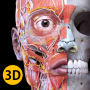 icon Anatomy 3D Atlas cho Allview A5 Ready