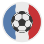 icon Euro 2016