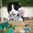 icon Cat Sim 5.6.0