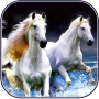 icon Horse Wallpaper cho Meizu MX6