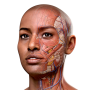 icon Complete Anatomy 2024 cho swipe Elite VR