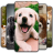 icon Puppy Wallpaper 3.0.1