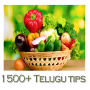 icon 1500+ Telugu Tips