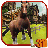 icon Wild Horse Simulation 1.5