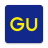 icon GU 8.0.2