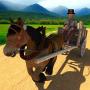 icon Horse Cart Simulator