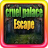 icon Cruel Palace Escape V1.0.0.4