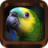 icon Bird Calls 2.3.4