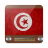 icon Tunisian Radio Fm 4.1