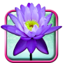 icon Lotus Live Wallpaper