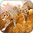icon Wild Animal Simulator 1.6.0
