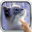 icon Interactive Kitten 8.0