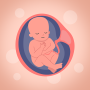 icon com.pregnancytracker.tm