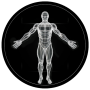 icon BodBot