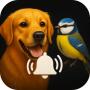 icon Animal Ringtones
