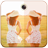 icon Mirror PhotoPics Editor 3.1