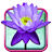 icon Lotus Live Wallpaper 6.0