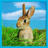 icon Real Rabbit Simulator 1.6