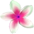 icon Flowers wallpaper 2.4.1