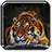 icon Tiger Live Wallpaper 1.6