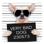 icon Funny Bad Dogs Live Wallpaper