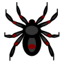 icon Spiders Killer