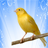 icon Chant Canaris 2.3