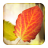 icon Falling Leaves mium 3.1